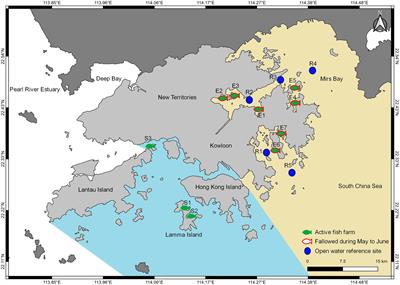 How elevated nitrogen load affects bacterial community structure and nitrogen cycling services in coastal water